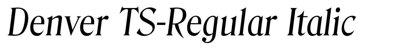 Denver TS-Regular Italic